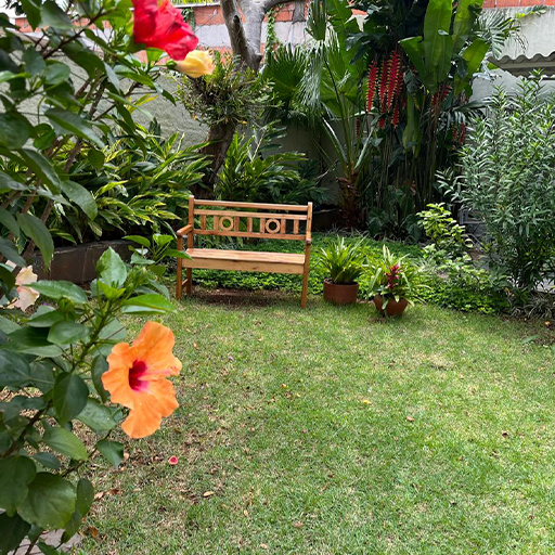 Moradia para idosos em Alto da boa vista